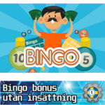 Bingo bonus