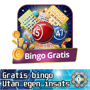 Gratis bingo och casino